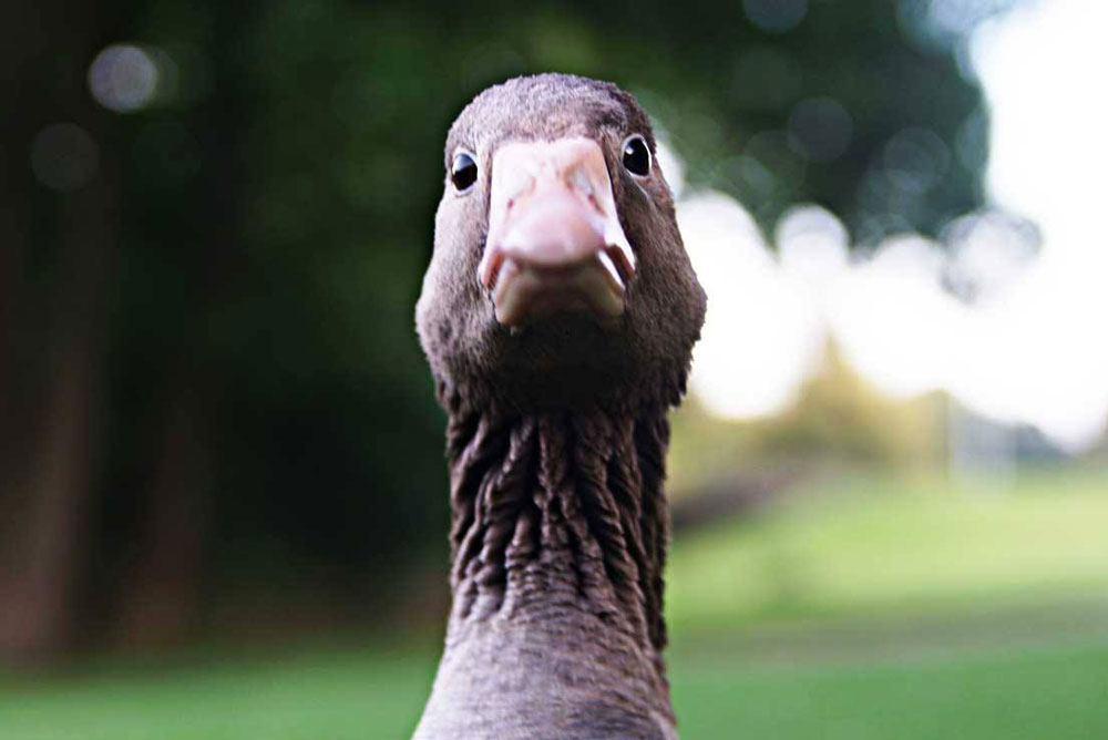 Foto: Fischer (Symbolbild)
