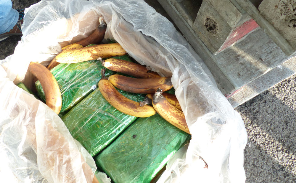 Kokain versteckt unter überreifen Bananen. Foto:Zoll