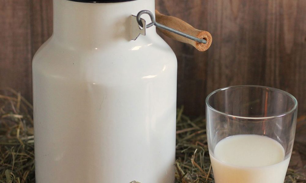 Thema Gesundheit Milch oder Buttermilch, was ist besser?