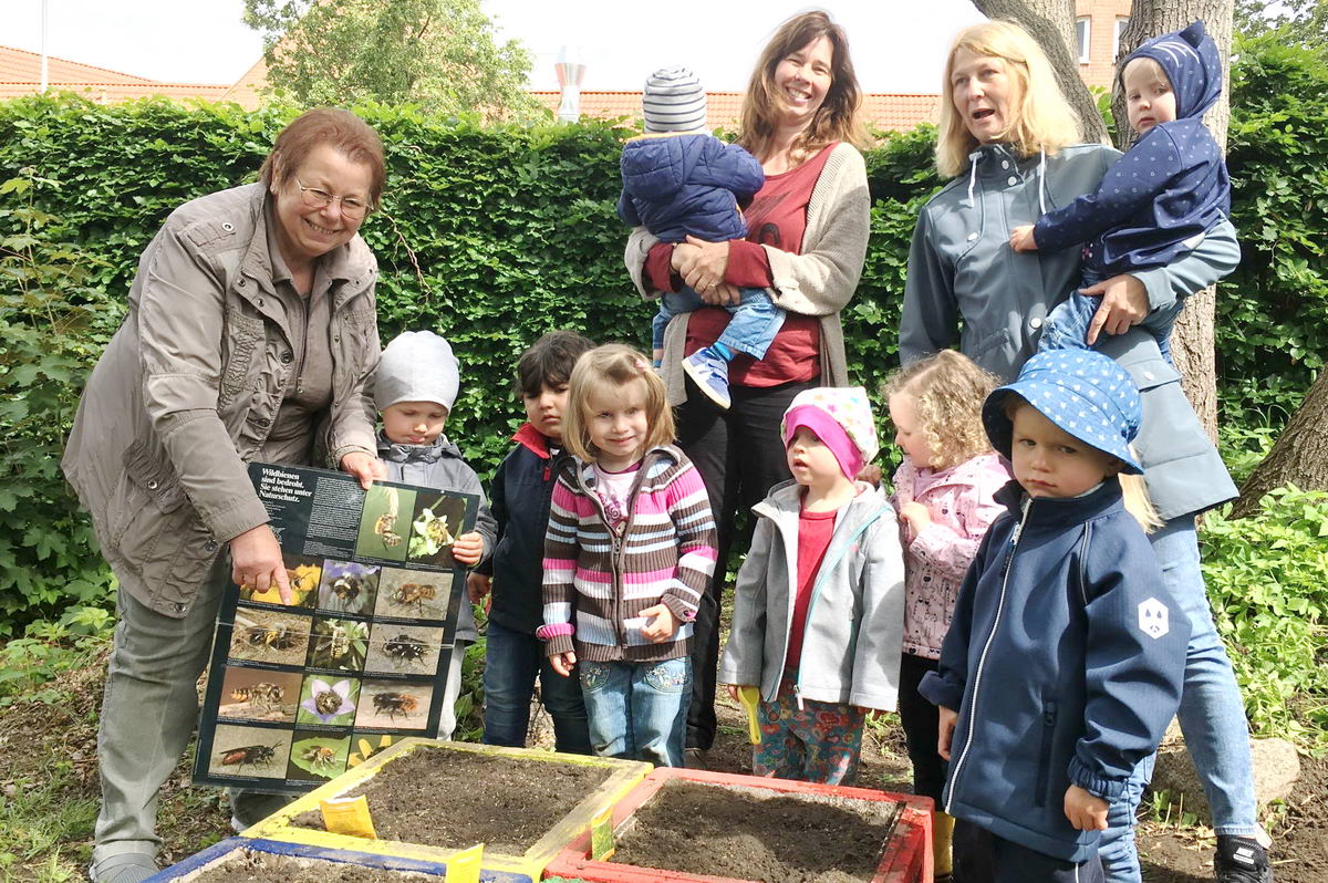 "Bad Oldesloe blüht auf" Kinder pflanzen Blumen für Wildbienen